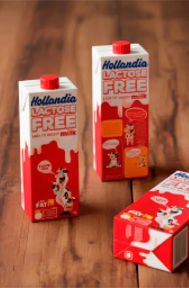 Industrial visual identity design for Hollandia