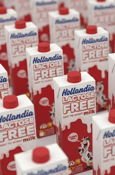 Corporate branding design for Hollandia by Enki Studio