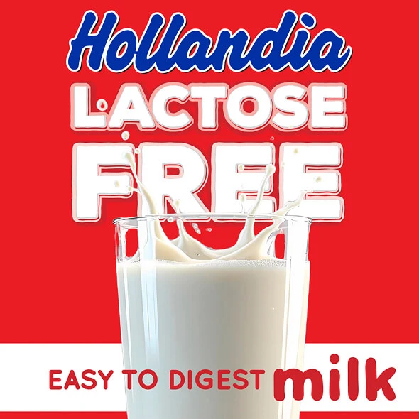 Hollandia industrial branding project by Enki Studio